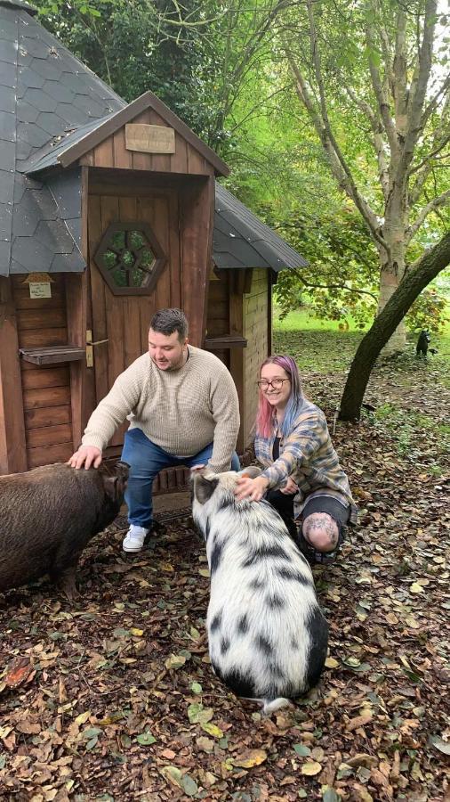 Вилла Starry Meadow & Rescued Animal Experiences Грейт-Ярмут Экстерьер фото