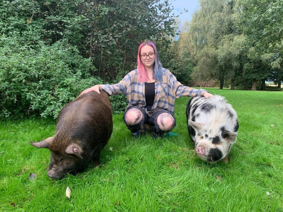 Вилла Starry Meadow & Rescued Animal Experiences Грейт-Ярмут Экстерьер фото