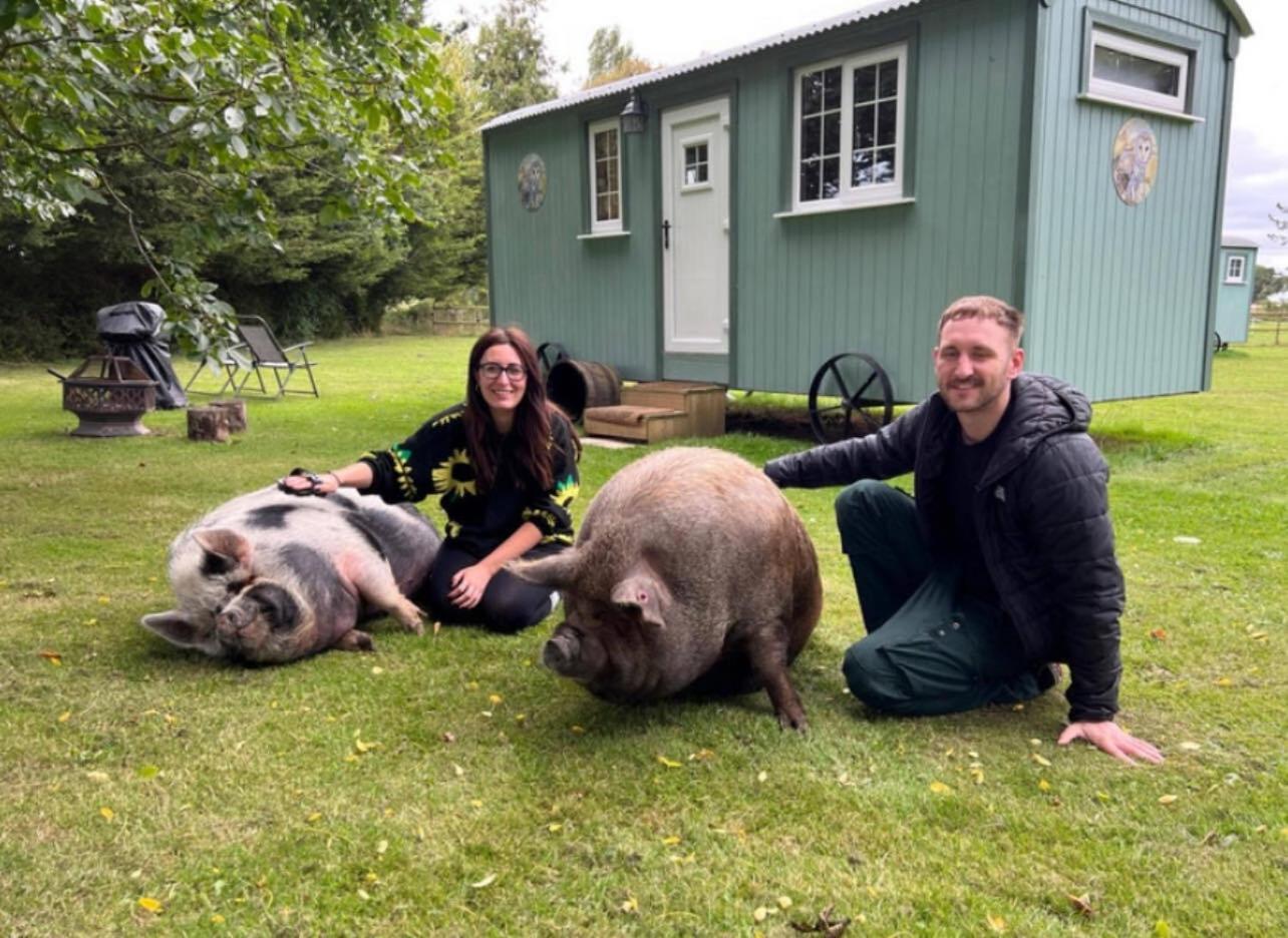 Вилла Starry Meadow & Rescued Animal Experiences Грейт-Ярмут Экстерьер фото